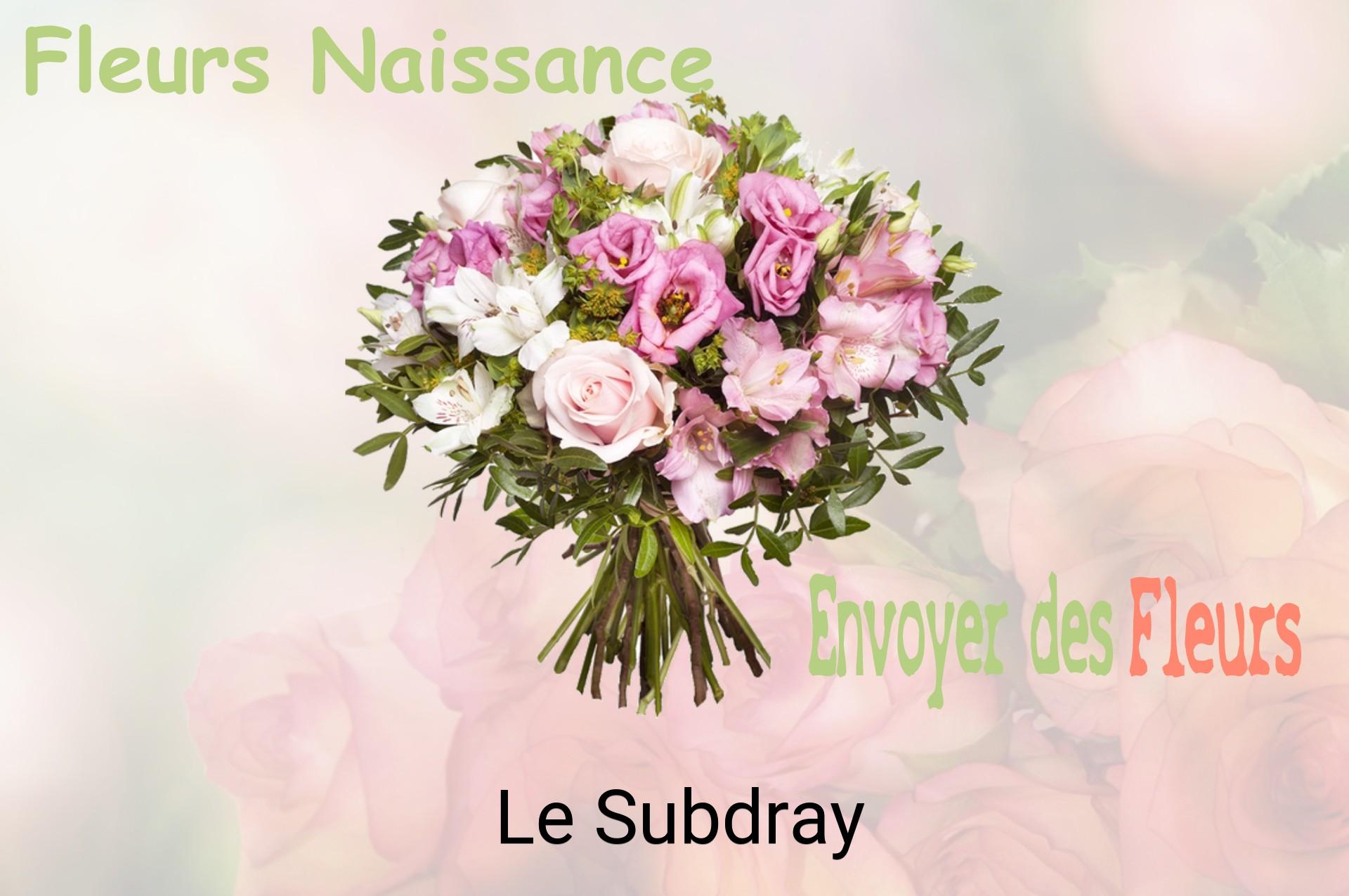 Bouquet de fleurs de naissance livré à Le Subdray